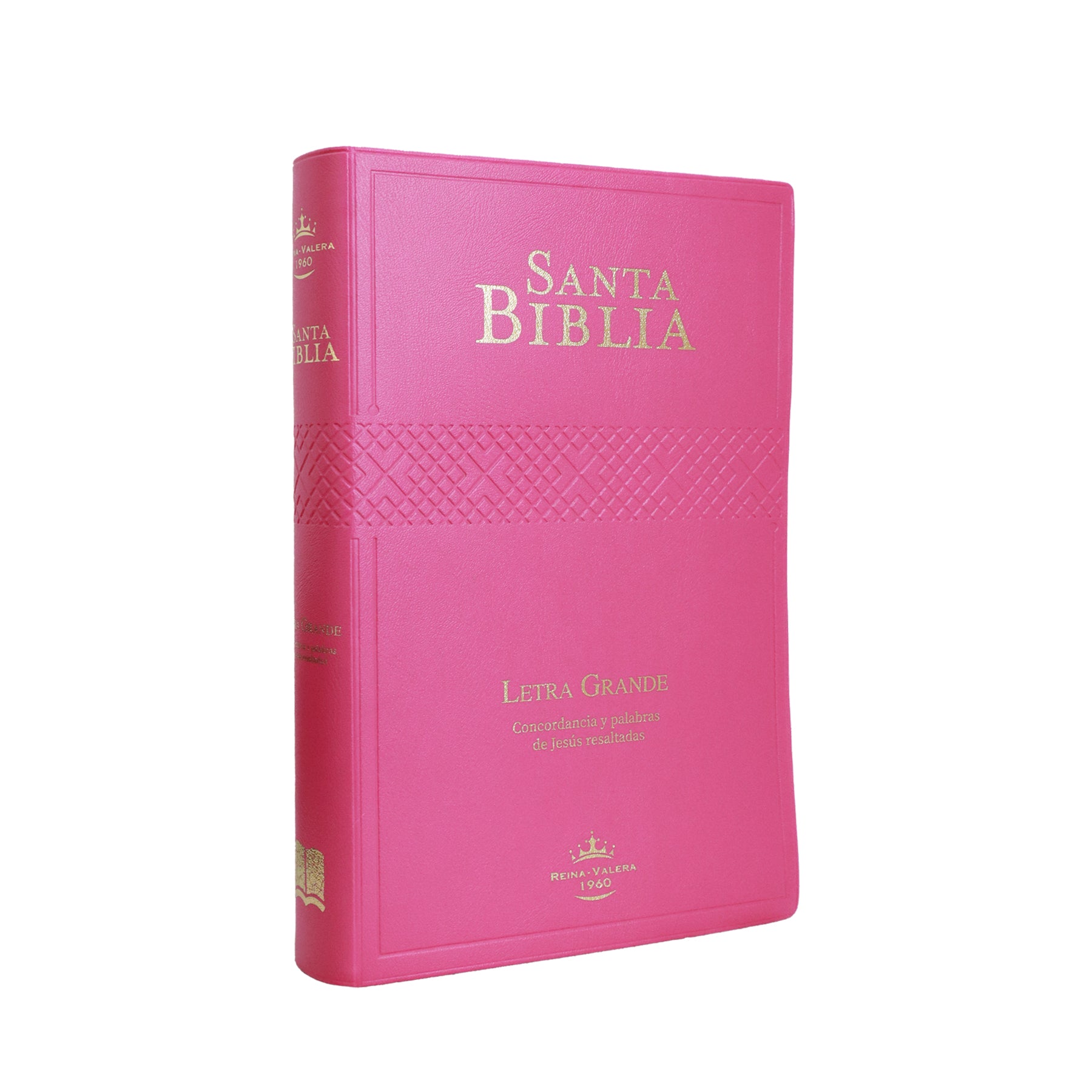 BIBLIA REINA VALERA 1960 MEDIANA LETRA GRANDE VINIL FUCSIA