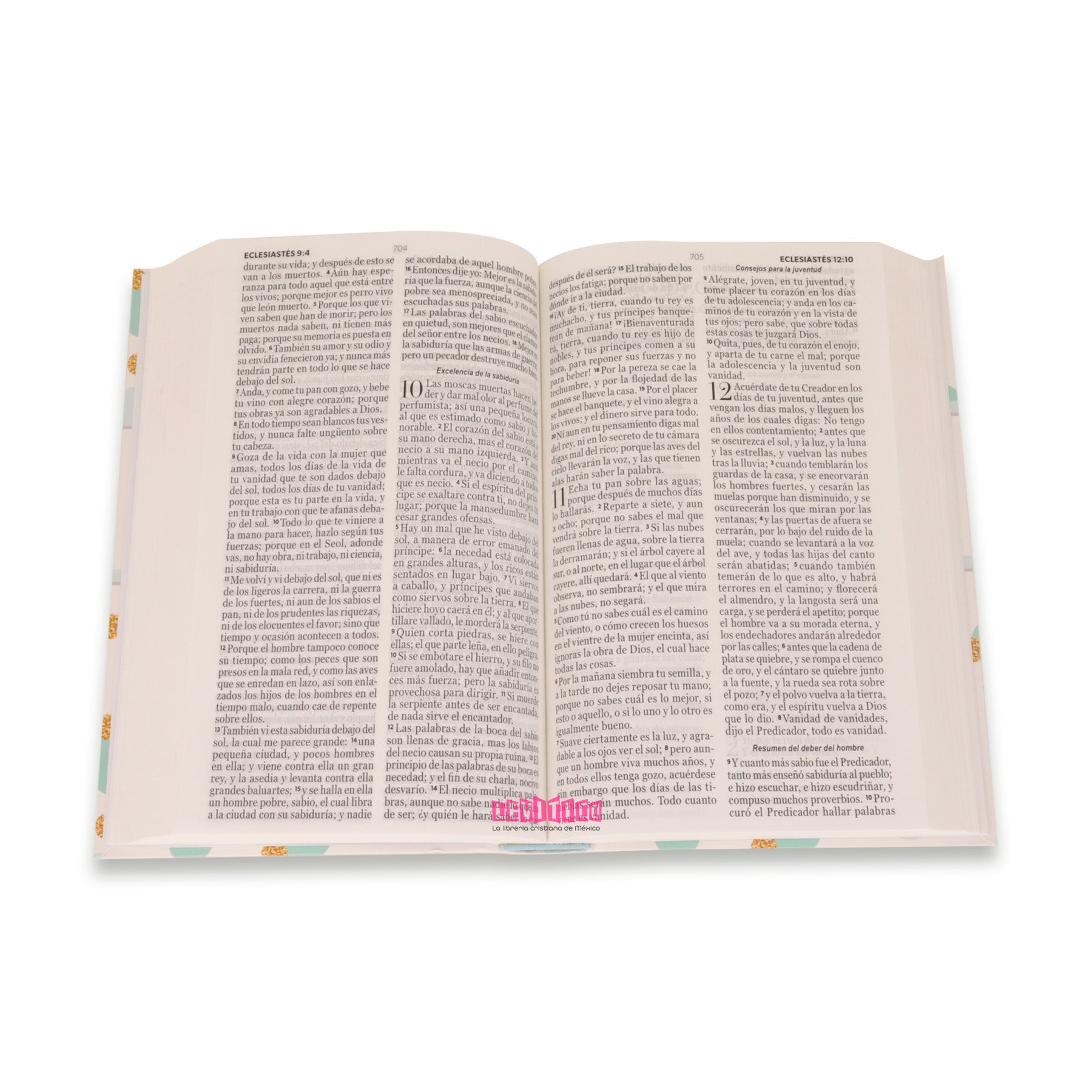 Biblia Reina Valera 1960 tamaño manual Letra Grande 12 punto. Tapa flex topos fantasía