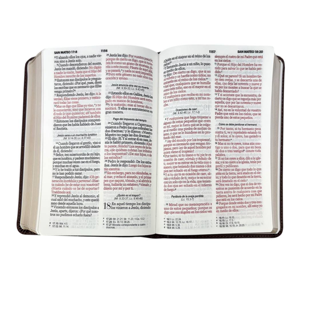 BIBLIA RVR 1960 PORTATIL IMITACION PIEL DE ALTA CALIDAD LETRA GRANDE 10 PUNTOS