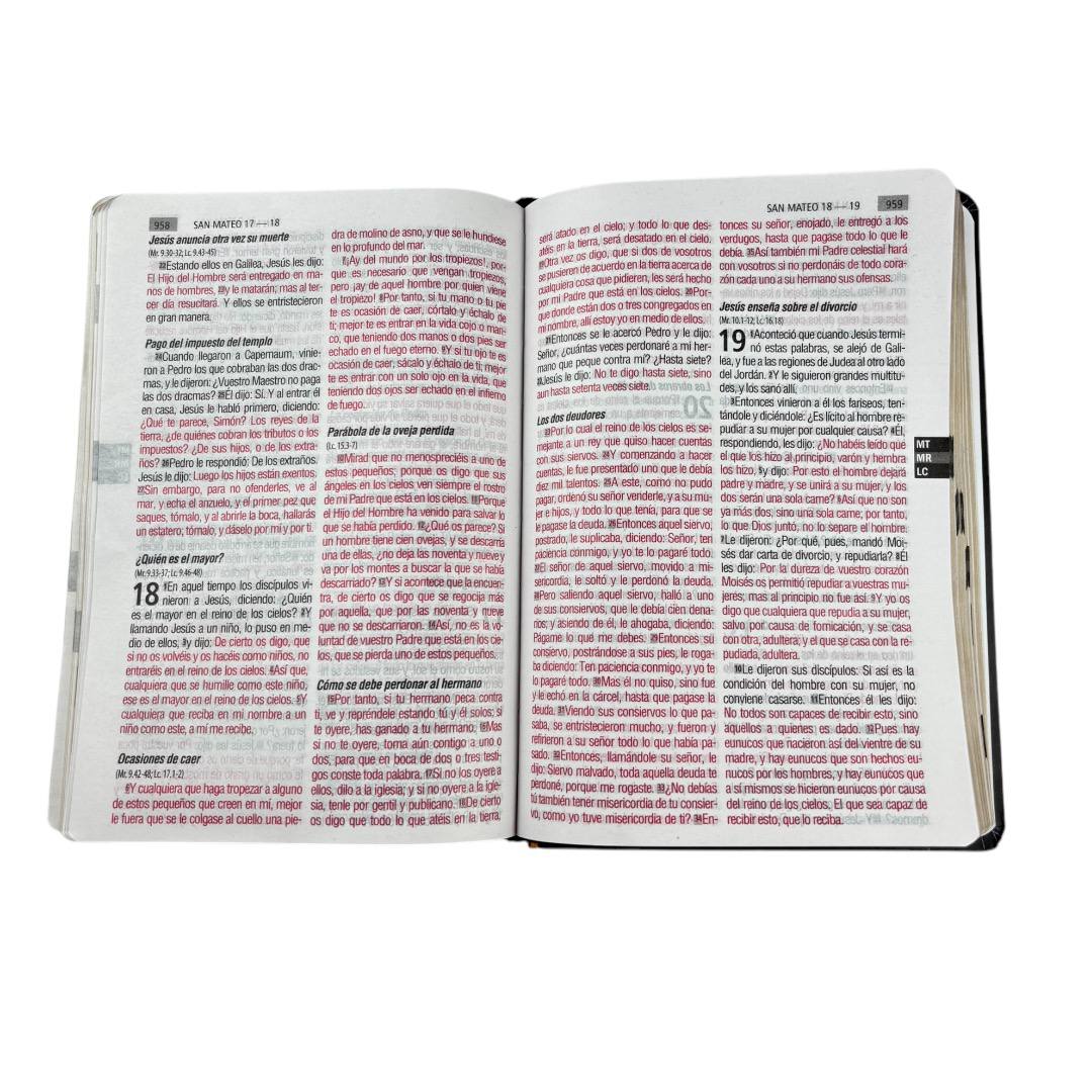 BIBLIA REINA VALERA 1960 LETRA GRANDE SEMIFLEXIBLE ANCLA/ NEGRO