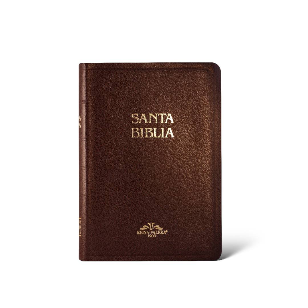 BIBLIA REINA VALERA 1960 MEDIANA IMITACION PIEL CAFE