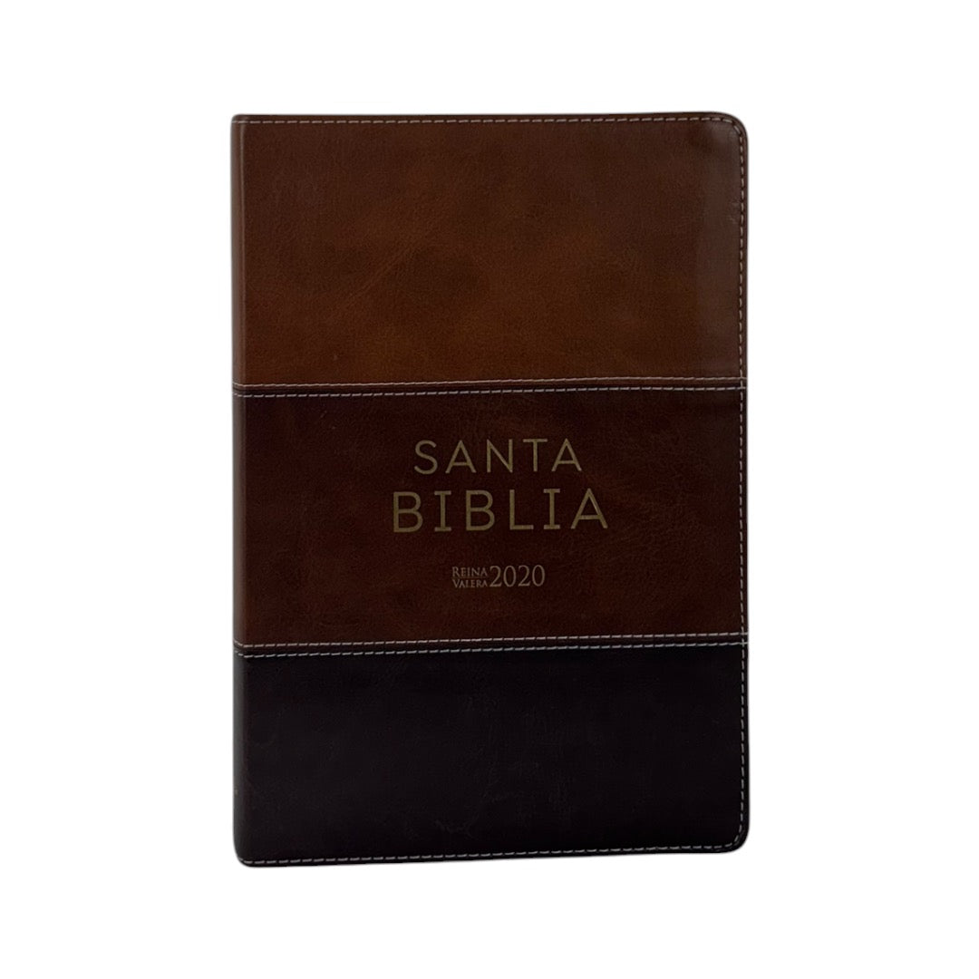 SANTA BIBLIA REINA VALERA 2020 (4 colores)