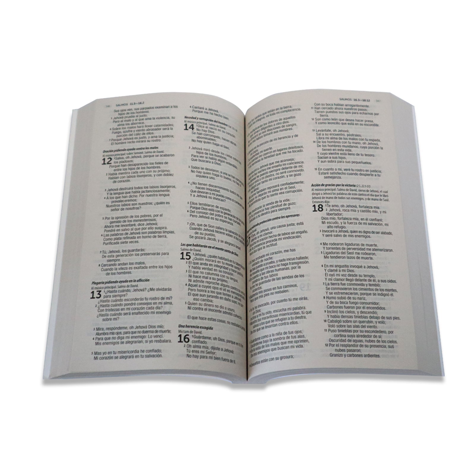 Biblia Economica 500 Razones Rv 1960 (10 piezas)