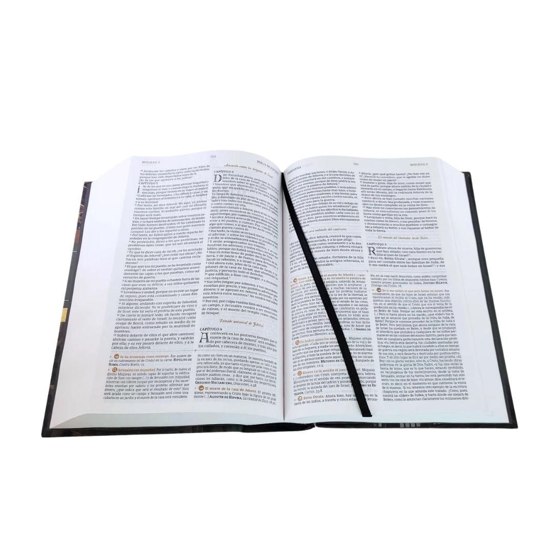 Biblia de Estudio Patrística/La sabiduría del Cristianismo Antiguo/Café (Copia)