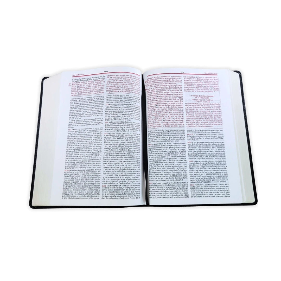 Biblia de Estudio de la Vida Plena RV1960, piel fabricada , negro