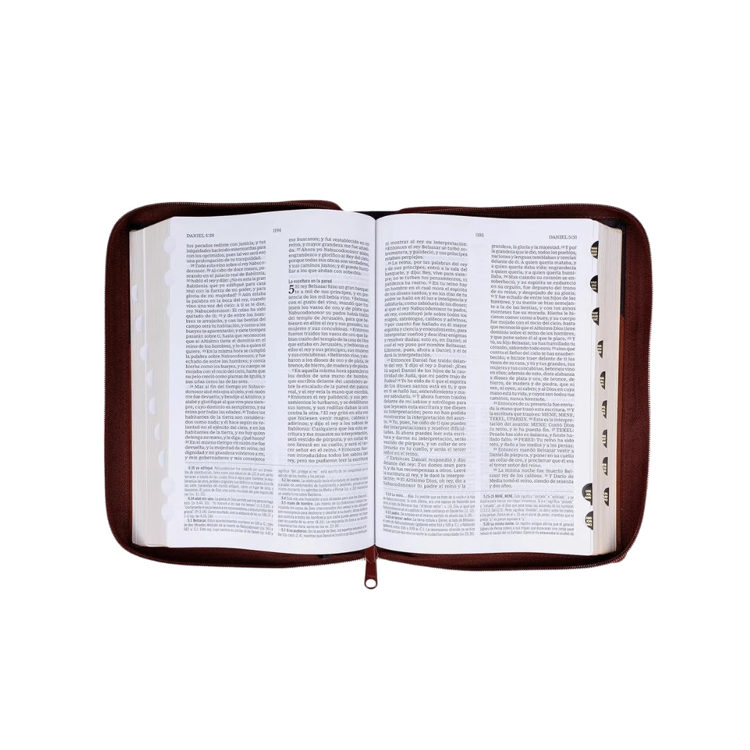 Biblia Estudio MacArthur Letra Grande Imitacion Cafe Cierre Indice