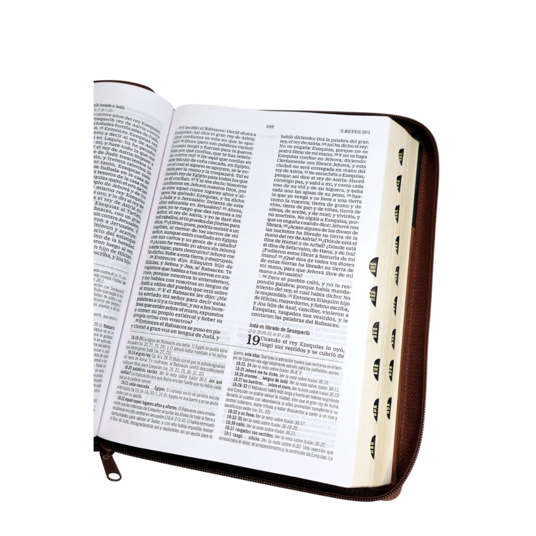 Biblia Estudio MacArthur Letra Grande Imitacion Cafe Cierre Indice