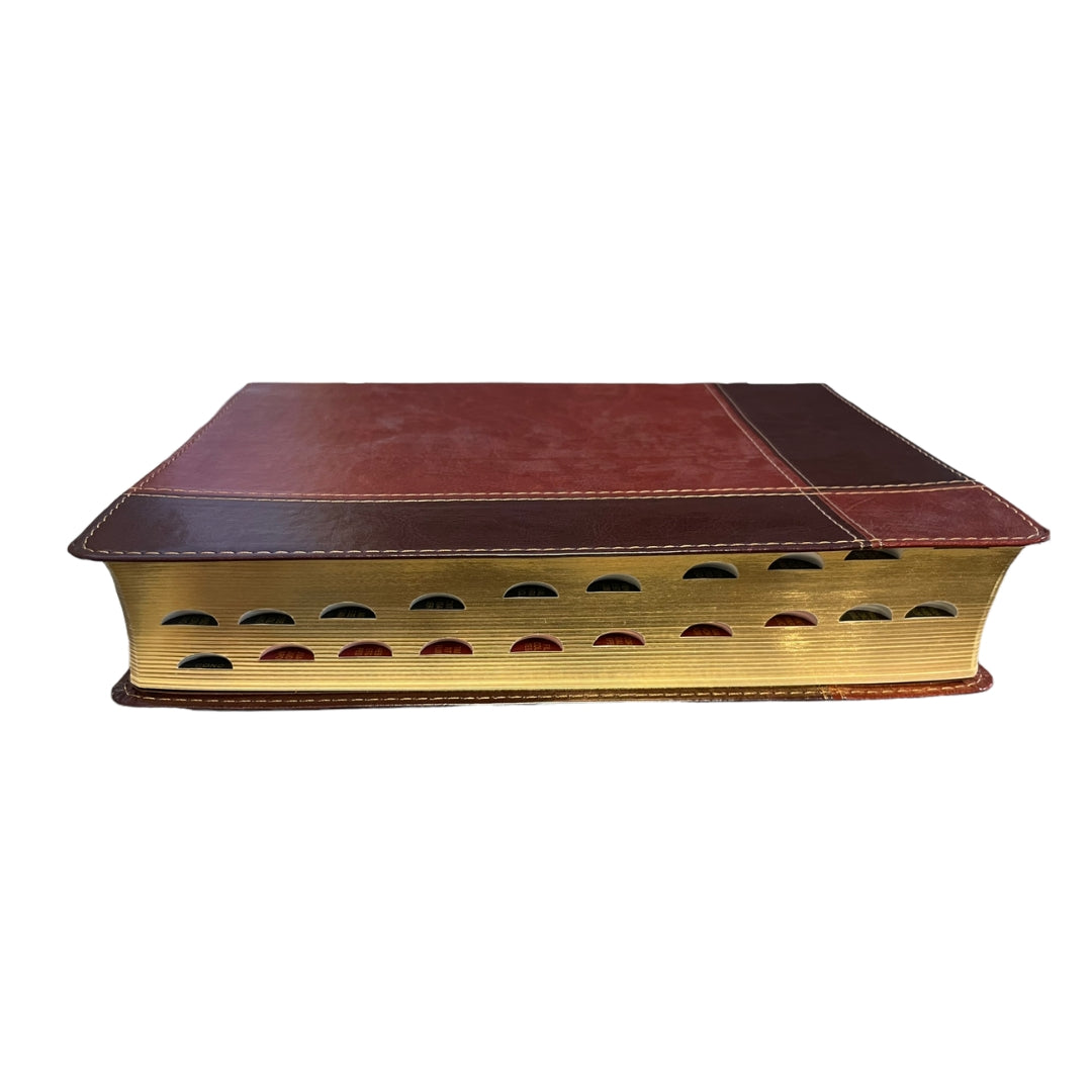 Biblia de estudio Ryrie ampliada RVR60 - Duo-tono marrón con índice