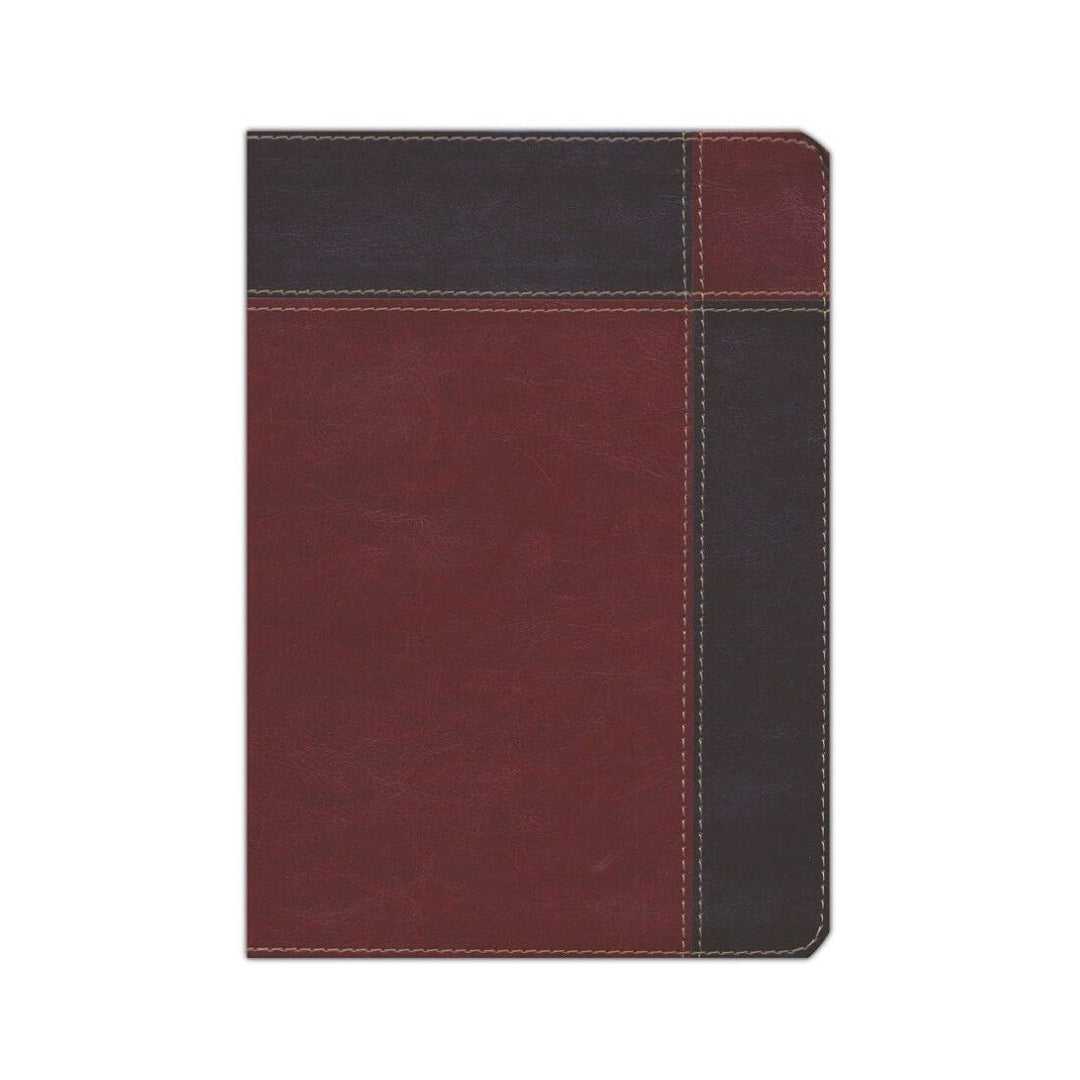 Biblia de estudio Ryrie ampliada RVR60 - Duo-tono marrón con índice