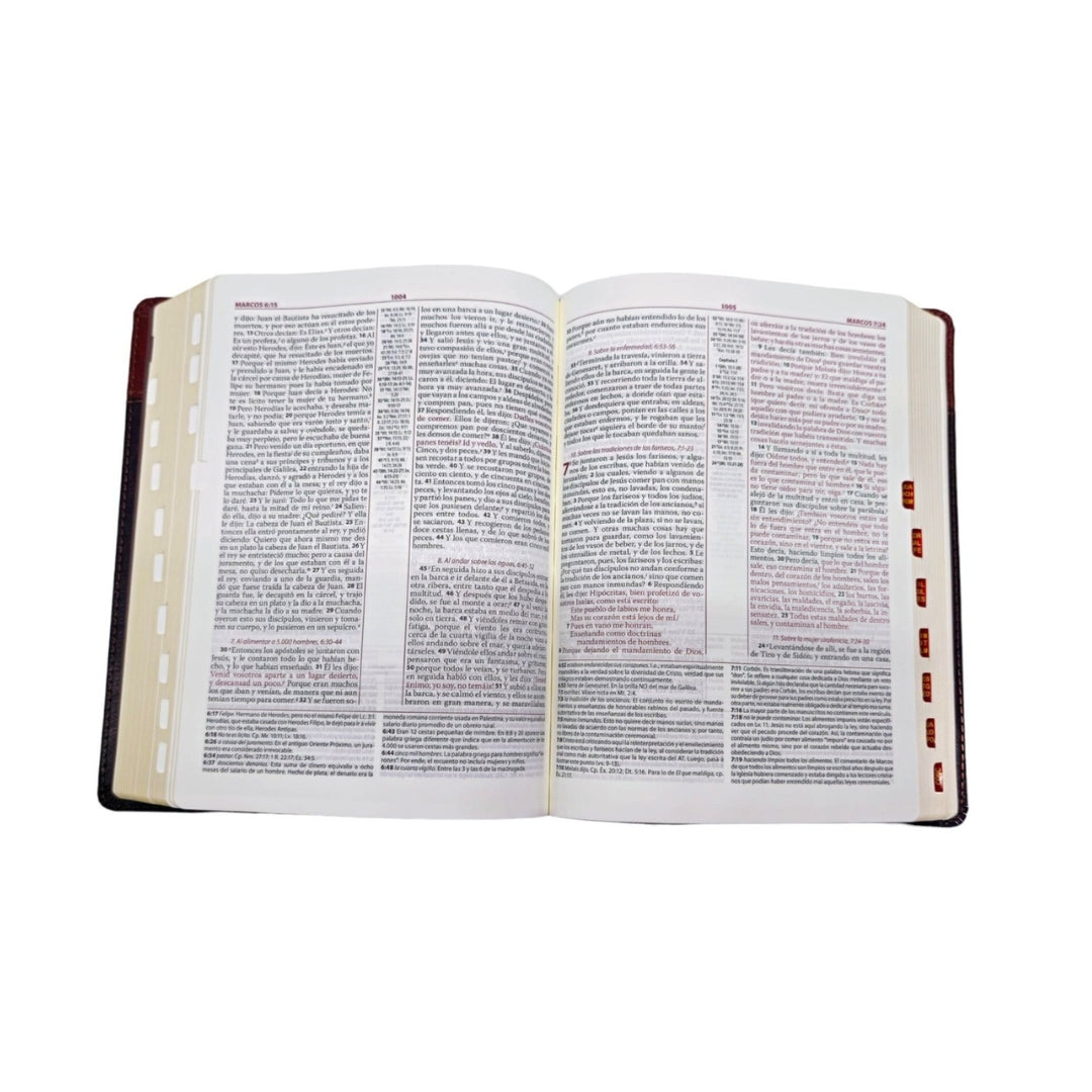 Biblia de estudio Ryrie ampliada RVR60 - Duo-tono marrón con índice