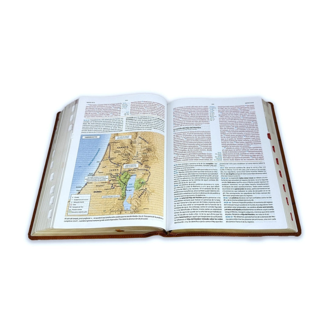Biblia de Estudio Holman RVR60 Piel Italiana café con indice