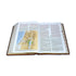 Biblia de Estudio Holman RVR60 Piel Italiana café con indice