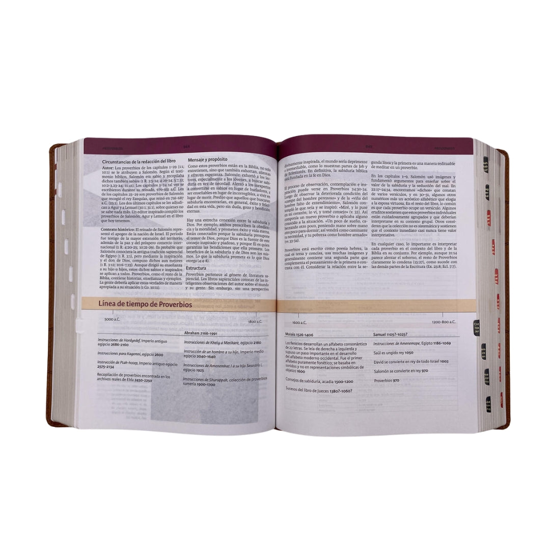 Biblia de Estudio Holman RVR60 Piel Italiana café con indice