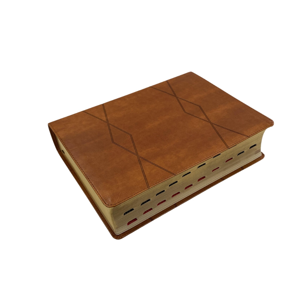Biblia de Estudio Holman RVR60 Piel Italiana café con indice