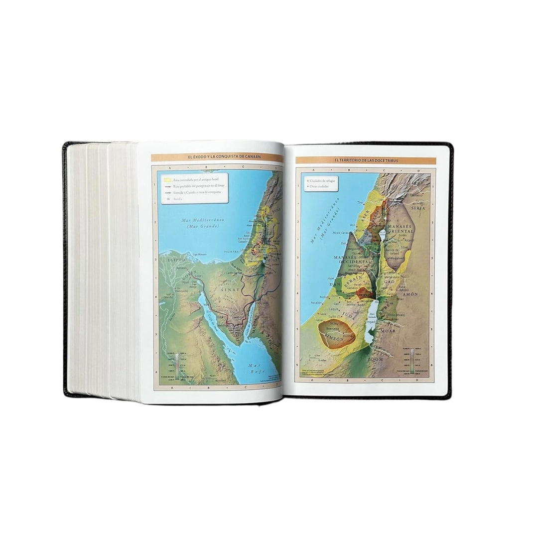 Biblia de Estudio Patrística/La sabiduría del Cristianismo Antiguo/Café