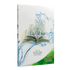 CAJA DE BIBLIAS ECONÓMICAS 500 RAZONES 40 PZ