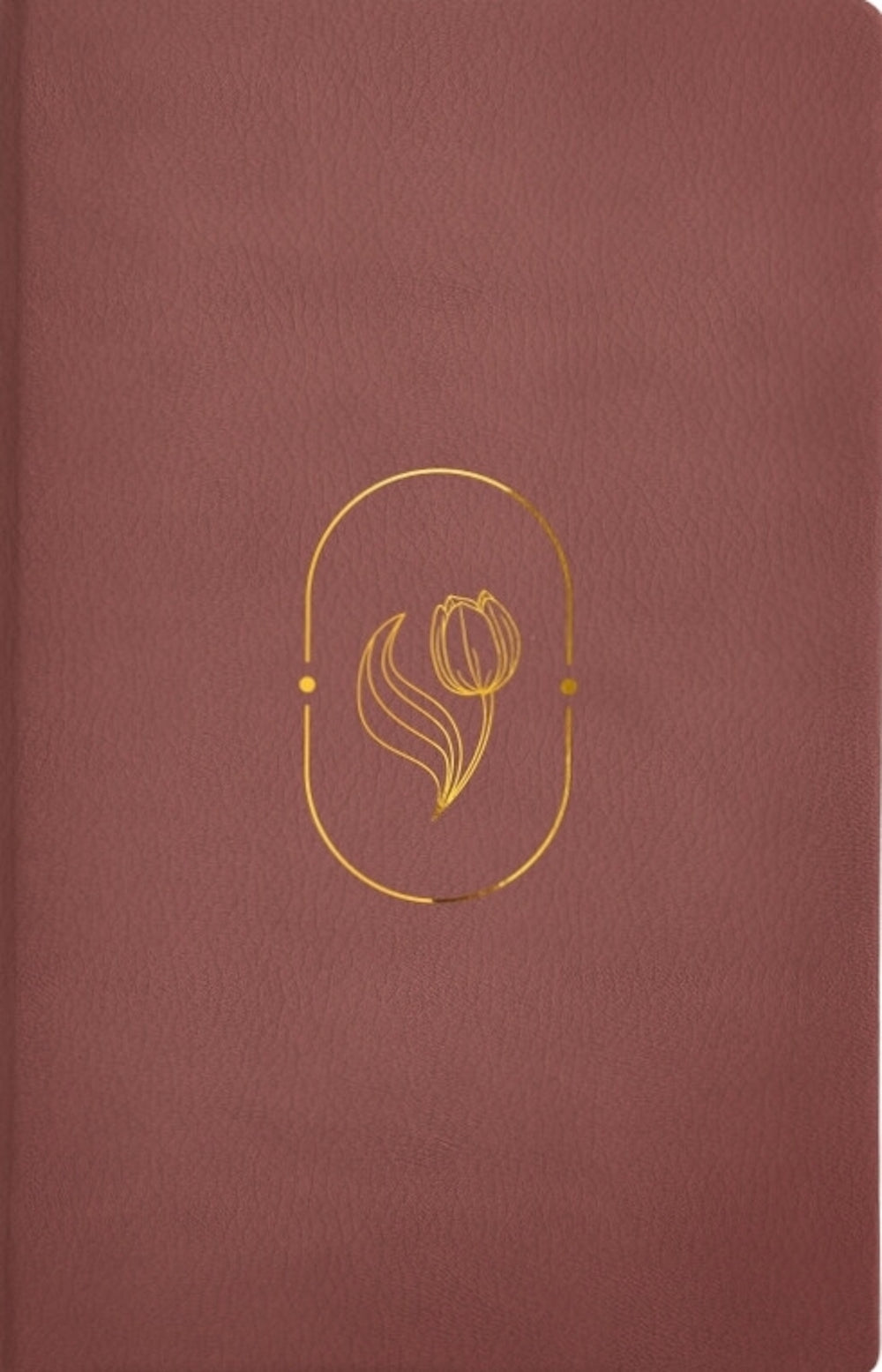 Biblia de Promesas RVR-1960 Devocional , Virtuosa, Letra gigante, Piel especial, Rosa