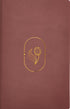 Biblia de Promesas RVR-1960 Devocional , Virtuosa, Letra gigante, Piel especial, Rosa