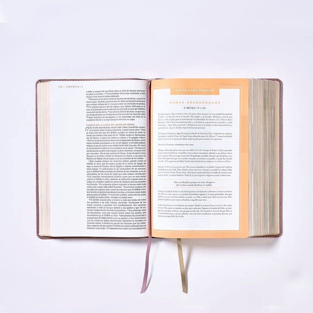 BIBLIA NBLA AMA A DIOS GRANDEMENTE SÍMIL PIEL CORAL