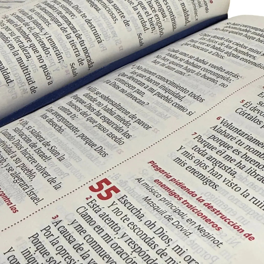 BIBLIA LETRA GRANDE RVR1960 – DISEÑO FLORAL ROSA