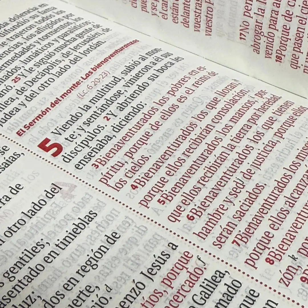 BIBLIA LETRA GRANDE RVR1960 – DISEÑO FLORAL ROSA