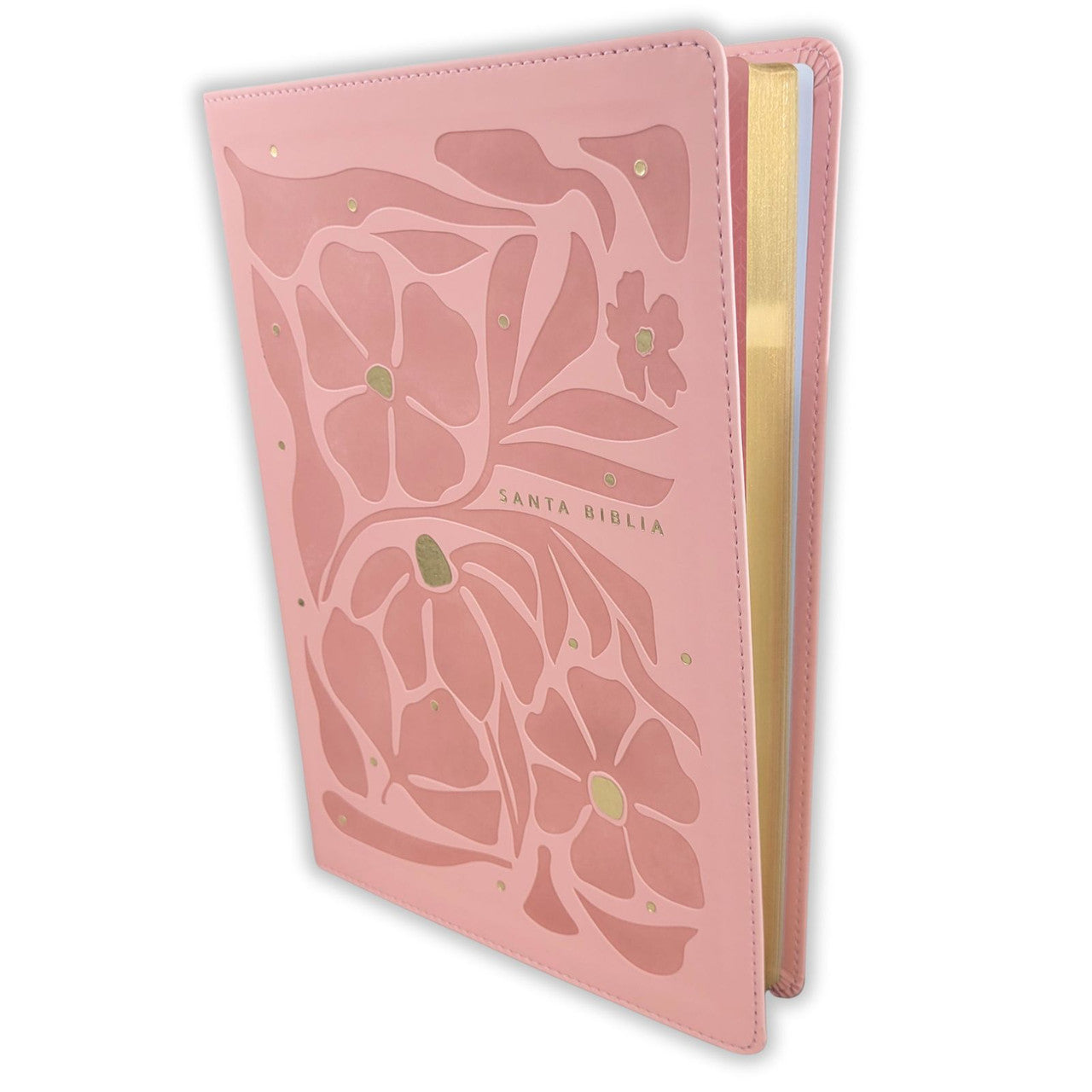 Biblia ultrafina NTV, letra grande con Filament