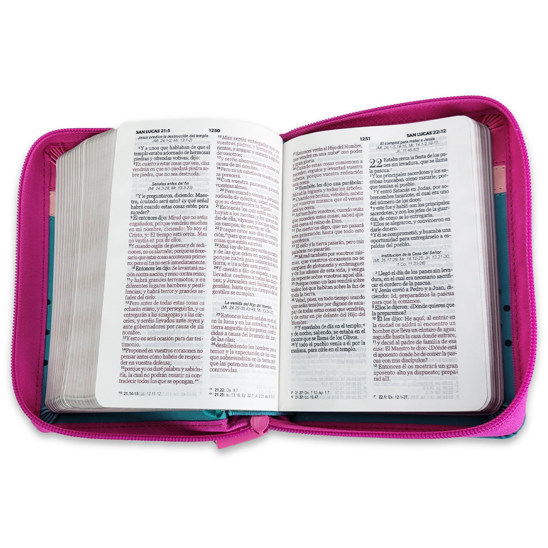 BIBLIA REINA VALERA 1960 TAMAÑO BOLSILLO C/CIERRE TURQUESA ROSA FLORES