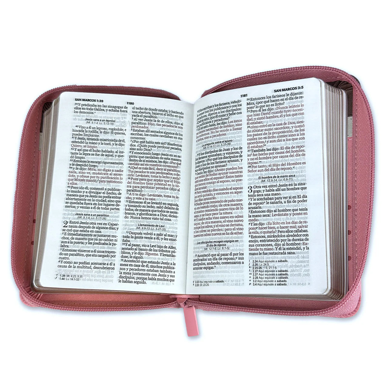 BIBLIA REINA VALERA 1960 TAMAÑO BOLSILLO BEIGE ROSA FLOR