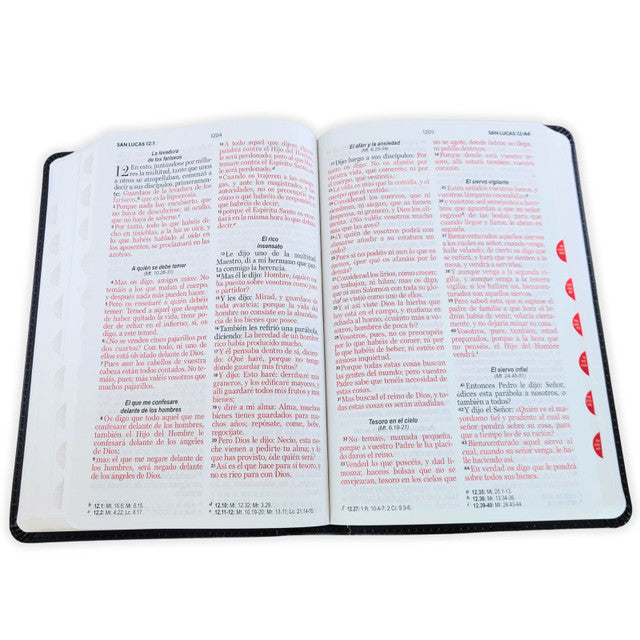 BIBLIA RVR 1960 LETRA GRANDE TAMAÑO MANUAL IMIT PIEL NEGRO LEÓN/ CRUCES C INIDCE