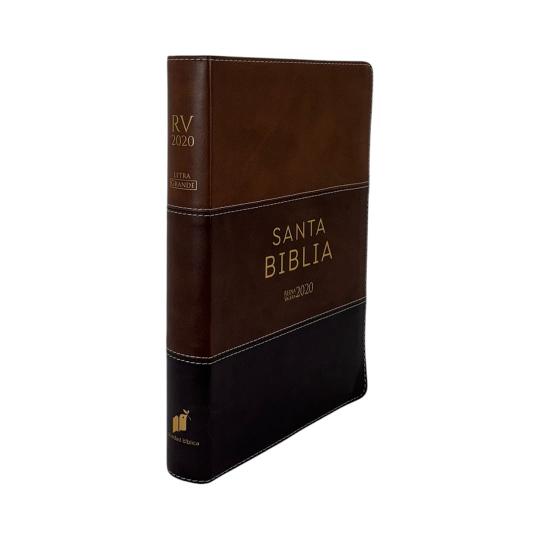 SANTA BIBLIA REINA VALERA 2020 (4 colores)