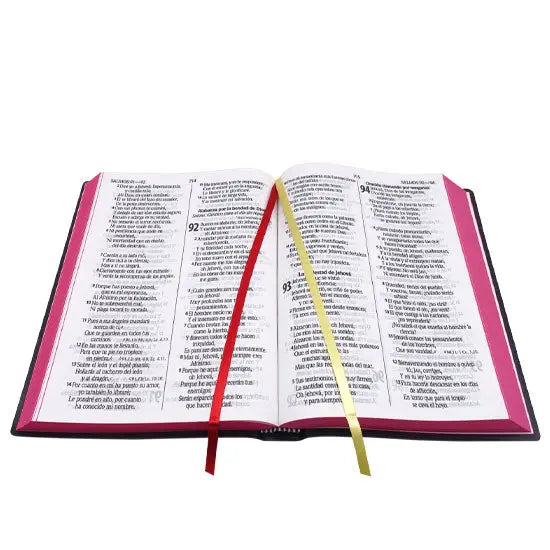 BIBLIA REINA VALERIA 1960 LETRA GIGANTE VINIL NEGRO LIBRERIA LEVITICO