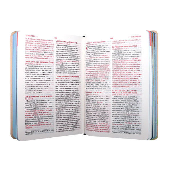 Biblia Reina Valera 1960 Mediana Letra Grande MAYUSCULA Tapa dura Mujer