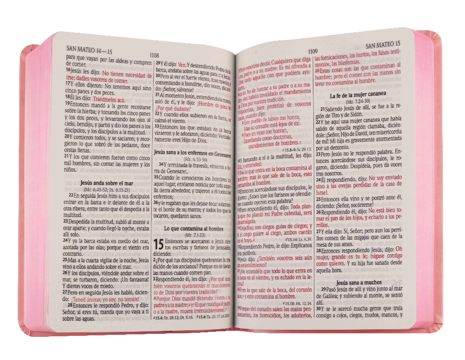 COMBO DE BIBLIAS LETRA GRANDE REINA VALERA 1960