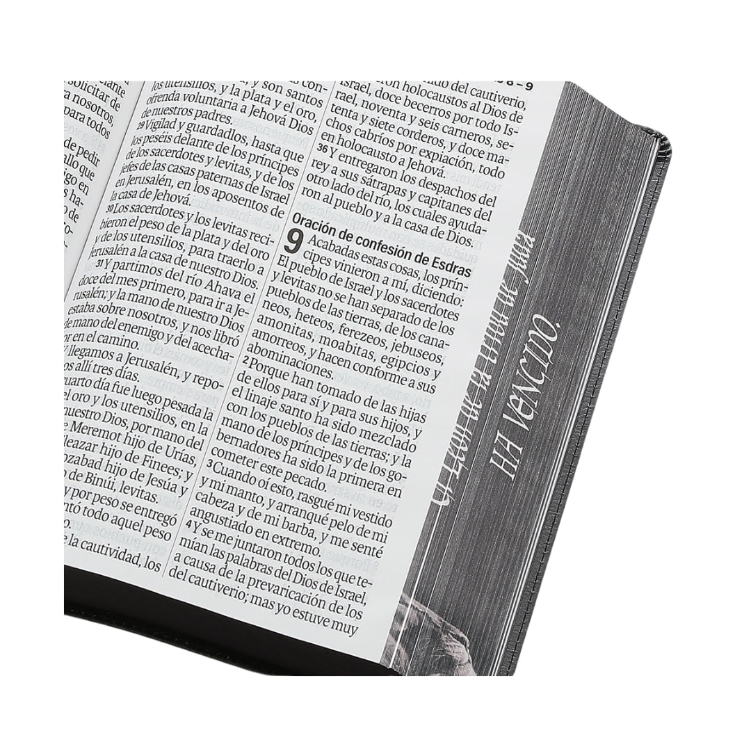 Biblia Reina Valera 1960 Letra Súper Gigante i/piel León de Judá canto pintado