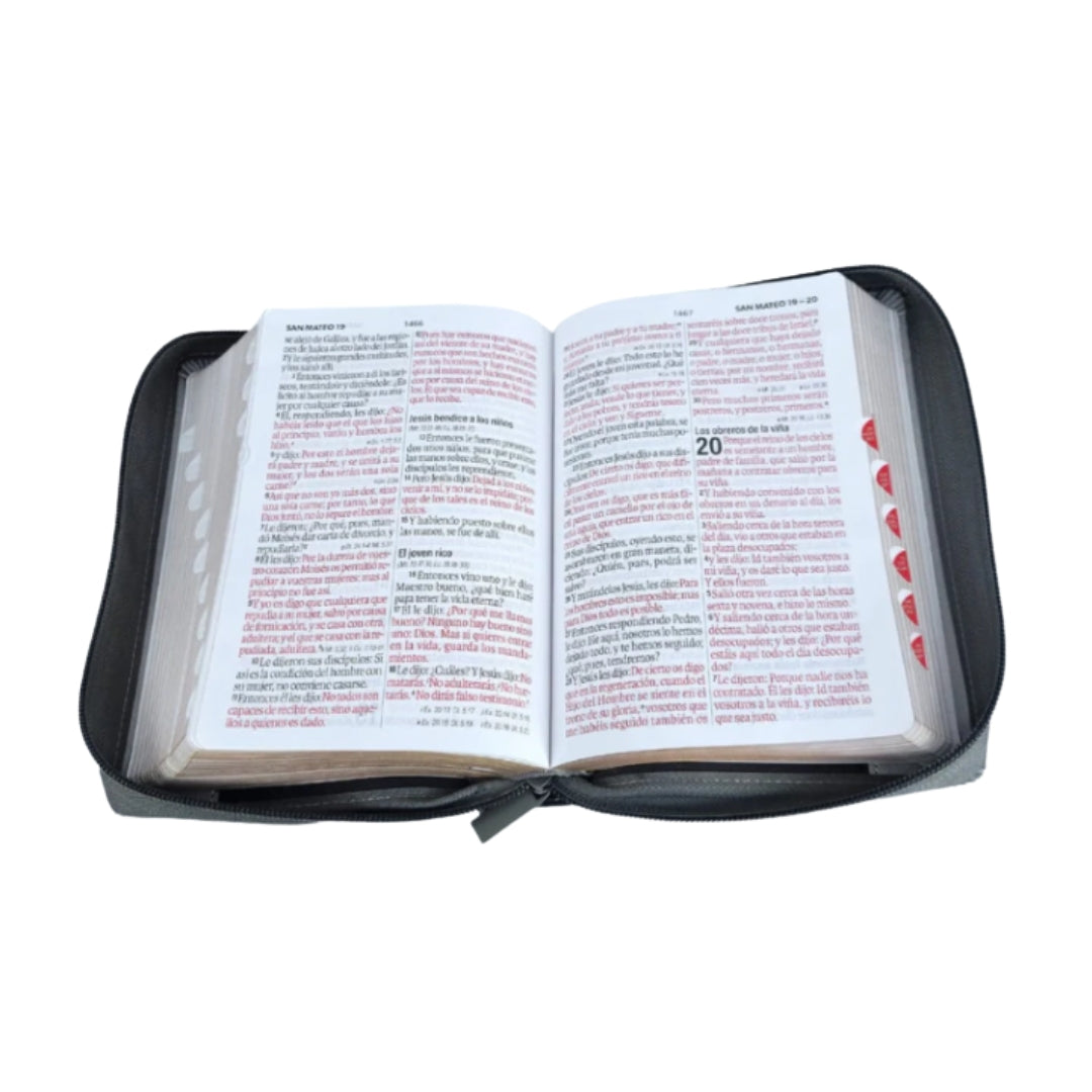 Biblia Reina Valera 1960 compacta Letra Grande i/piel tricolor gris León con cierre y con índice