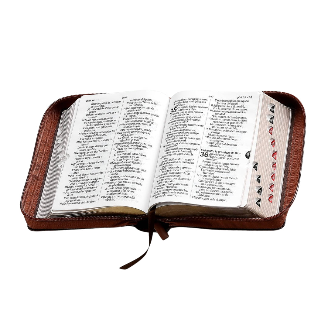 Biblia Reina Valera 1960 compacts Letra Grande i/piel tricolor marrón pez