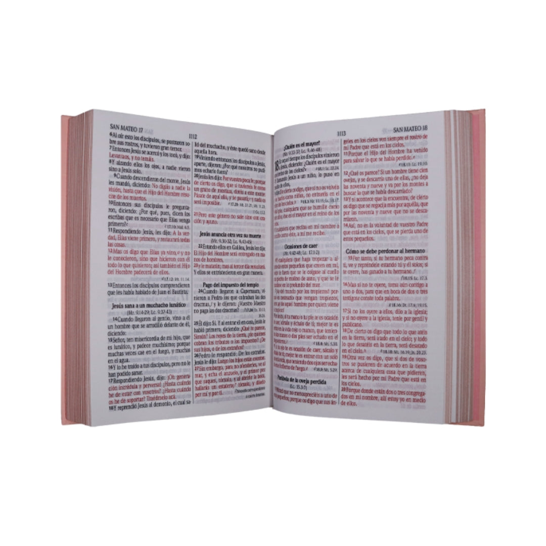 Biblias Duo Reina Valera 1960 Letra: 12 puntos