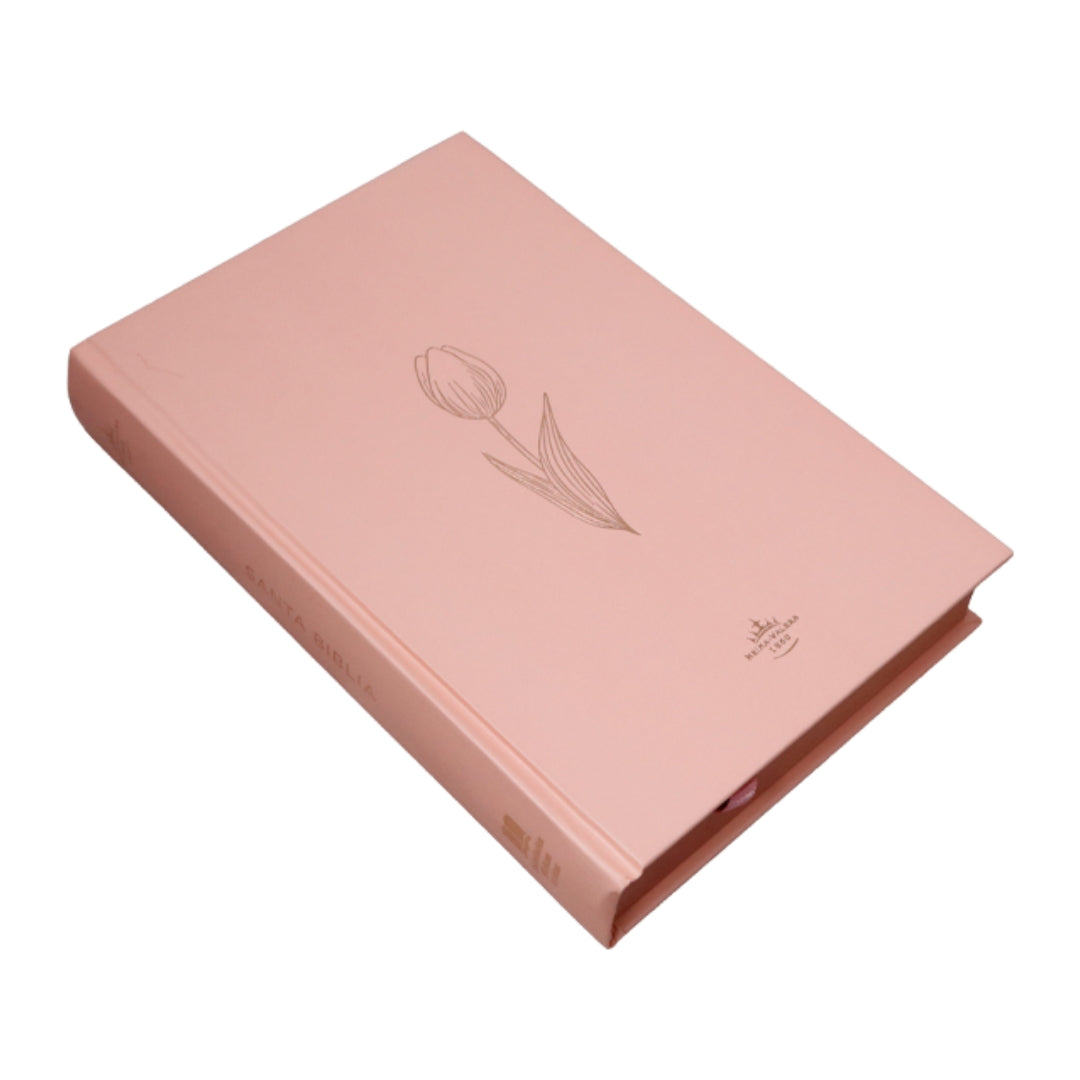 Biblias Duo Reina Valera 1960 Letra: 12 puntos