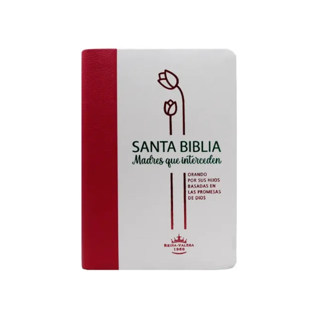 Biblia Reina Valera Madres Que Interceden letra grande