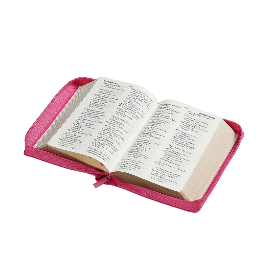 Biblia RV1960 Letra Grande 11 puntos piel con cierre Fucsia