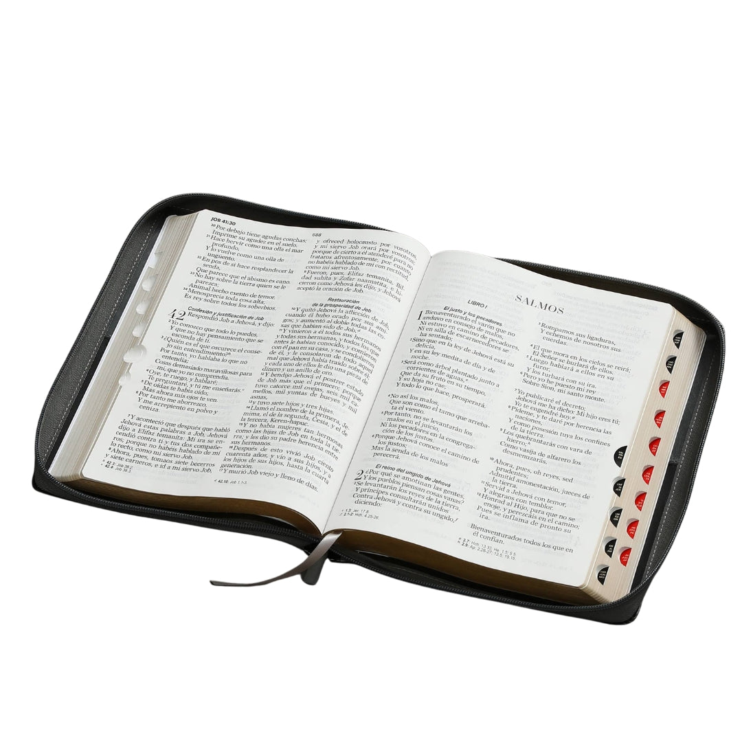 Biblia RVR60 Letra Gigante i/piel Bitono Negro/GRis León con cierre e índice