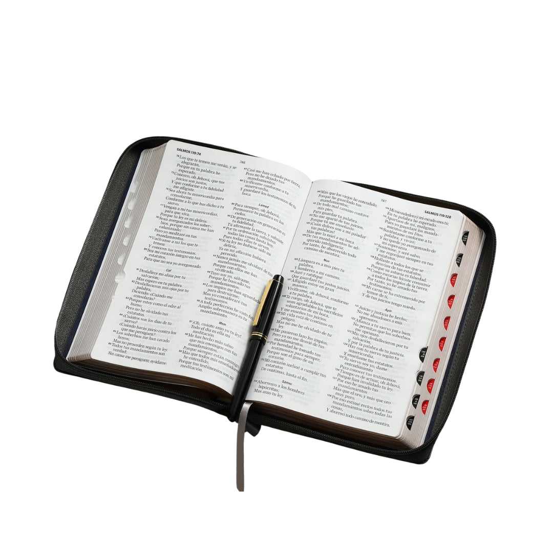 Biblia RVR60 Tamaño Manual letra grande i/piel Gris/azul/café Faro cierre/índice