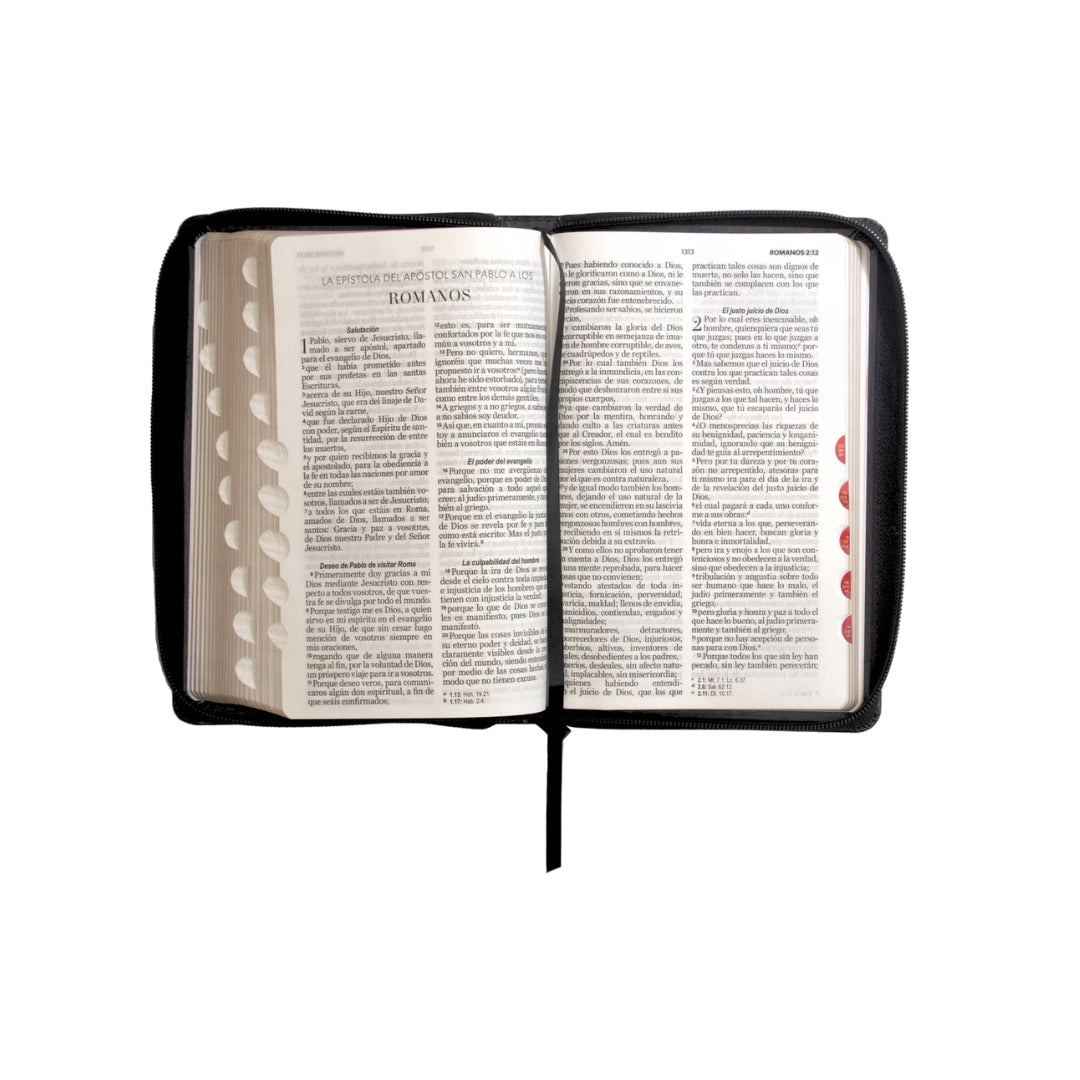 Biblia RVR60 Tamaño Manual Letra Grande i/piel NEGRO con cierre/índice