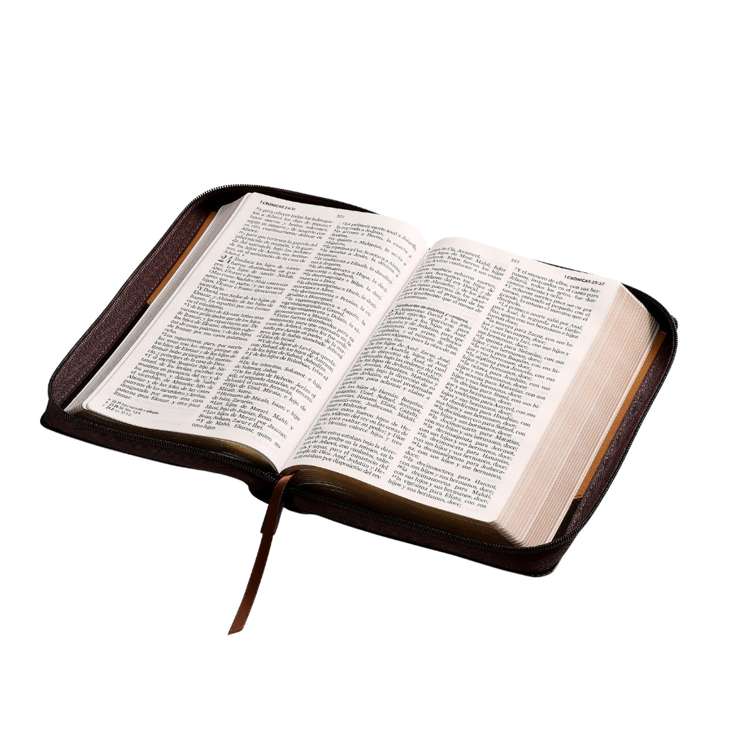 Biblia RVR60 Tamaño Manual Letra Grande i/piel con cierre CAFÉ/CAFÉ