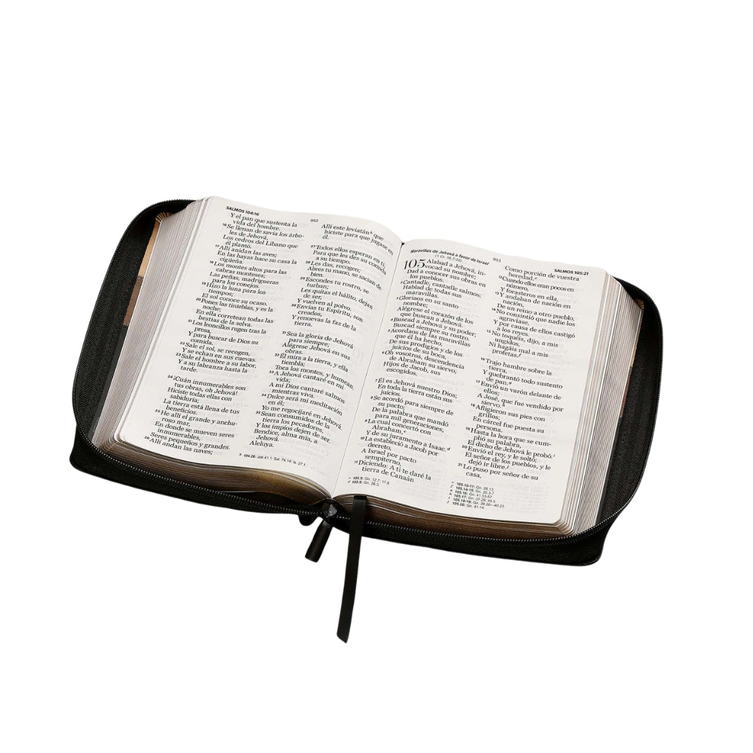 Biblia RVR1960 Gigante Manual Con Cierre Beige, Café Y Negro