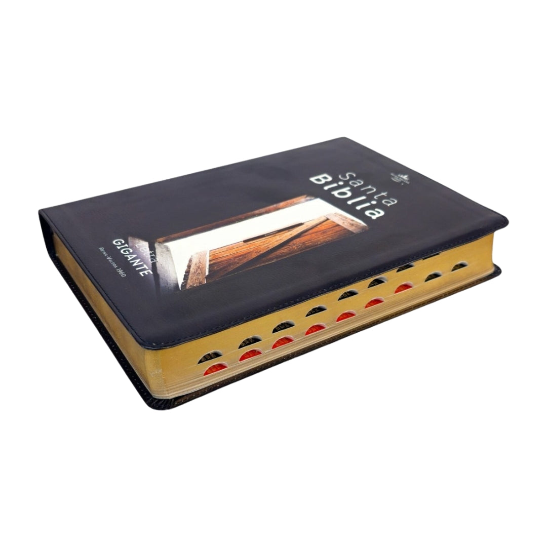 Biblia Letra Gigante 15 puntos RV1960, imit piel puerta abierta