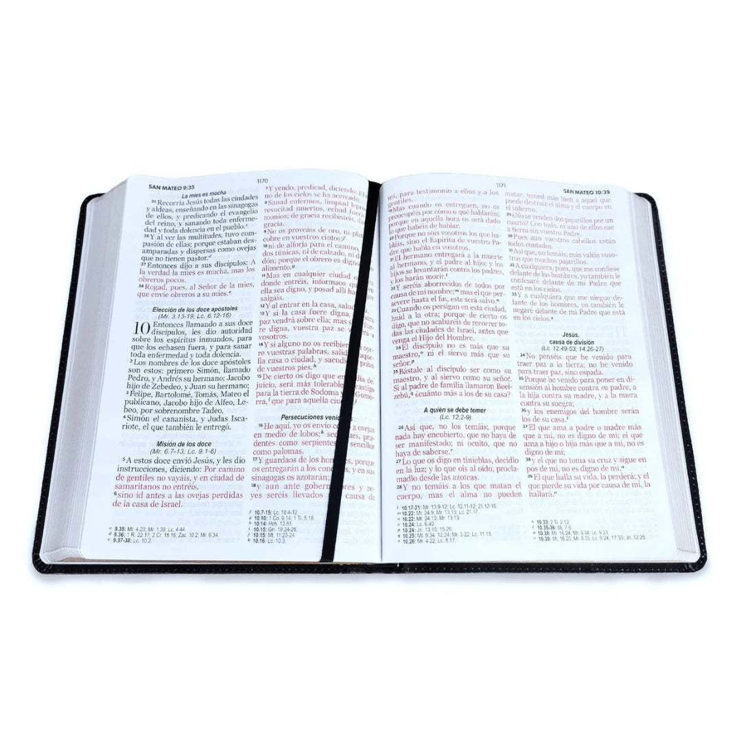 Biblia Letra Gigante 15 puntos RV1960, imit piel puerta abierta