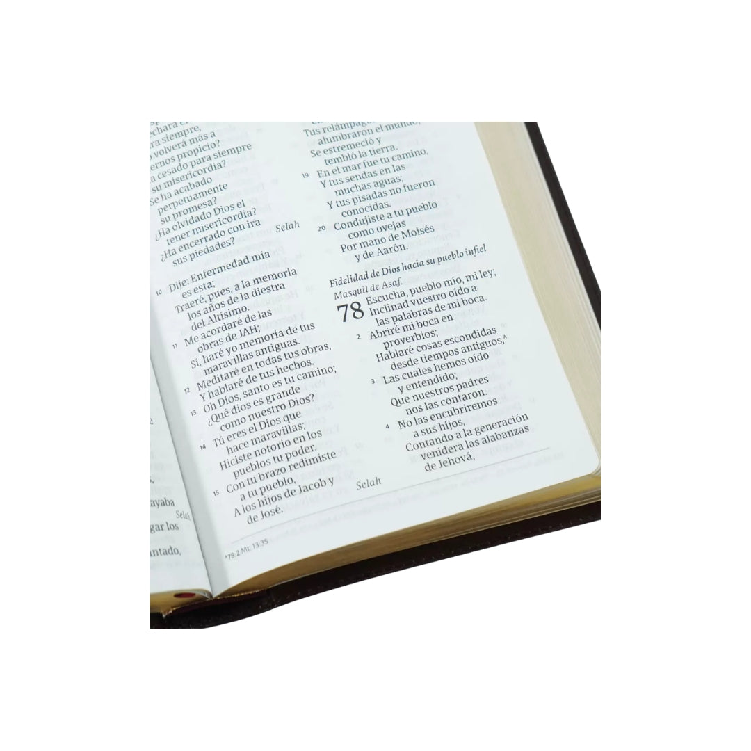 Biblia Del Ministro – Letra Grande RVR 1960 – Edicion Ampliada – Vino Piel Fabricada