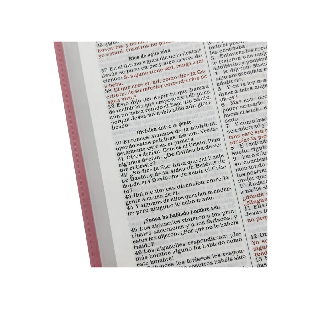 Biblia RVR60 Regalos y premios i/piel rosa con flores
