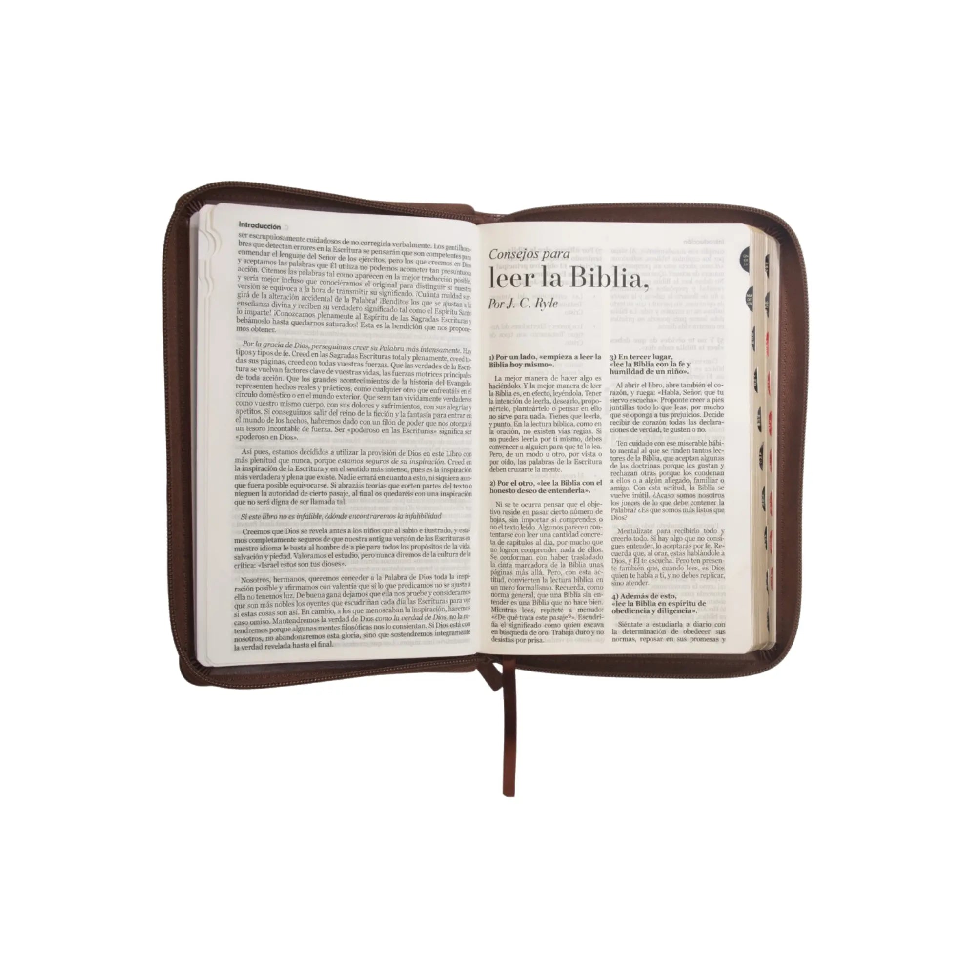 Biblia Manual con Cierre Letra Grande 12 puntos RV1960, imit piel café con índice